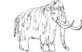 Sketch of mammoth with giant tusks